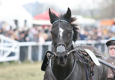 gIMG 7231 400x266.jpg