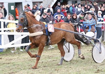 jIMG 7162 400x266.jpg