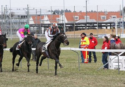 rIMG 7189 400x266.jpg