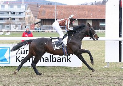 rIMG 7196 400x266.jpg