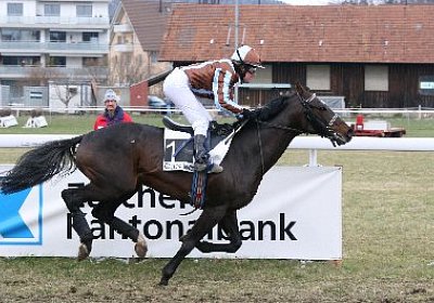 rIMG 7203 400x266.jpg