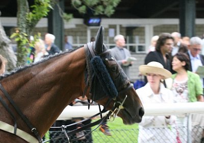 cm rayyan IMG 0098 600x400.jpg