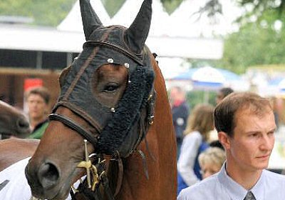 cm rayyan IMG 0102 600x400.jpg