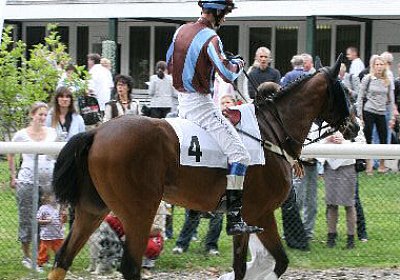 cm rayyan IMG 0117 600x400.jpg