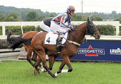 cm rayyan IMG 0130a 600x400.jp...