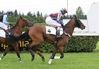 cm rayyan IMG 0133a 600x400.jp...