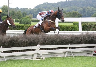 cm rayyan IMG 0144 600x400.jpg