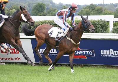 cm rayyan IMG 0146 600x400.jpg