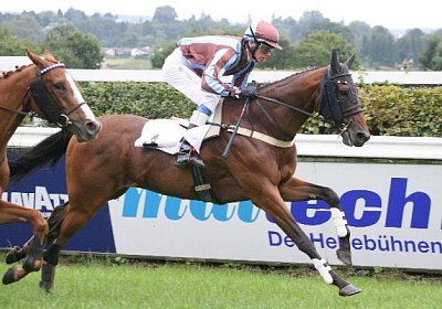 cm rayyan IMG 0154 600x400.jpg