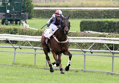 cm rayyan IMG 0155a 600x400.jp...