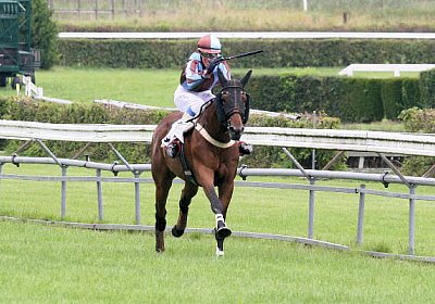 cm rayyan IMG 0156a 600x400.jp...