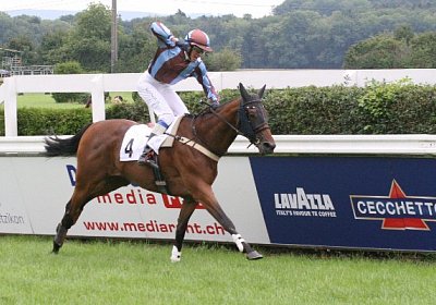 cm rayyan IMG 0165a 600x400.jp...