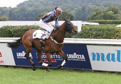 cm rayyan IMG 0166a 600x400.jp...