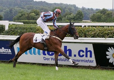 cm rayyan IMG 0167ad 600x400.j...