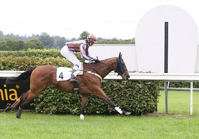 cm rayyan IMG 0169ad 600x400.j...