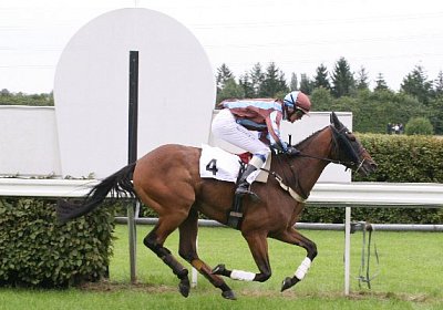 cm rayyan IMG 0170a 600x400.jp...