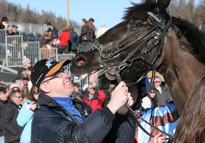 IMG 0312r4 600x400.jpg