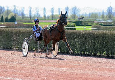 cm jullyannis IMG 8714 600x400...