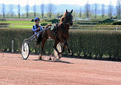 cm jullyannis IMG 8715 600x400...