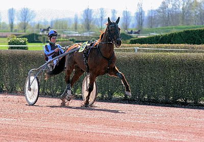 cm jullyannis IMG 8716 600x400...