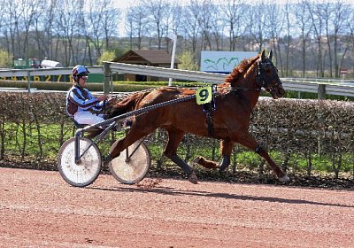 cm jullyannis IMG 8719 600x400...