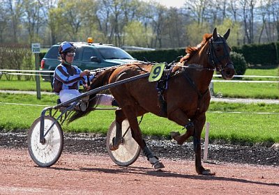 cm jullyannis IMG 8726 600x400...