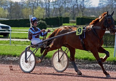cm jullyannis IMG 8727 600x400...