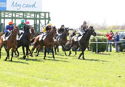 cm royalIMG 8582 600x400.jpg