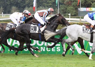 cm 1 royalIMG 3176 600x400