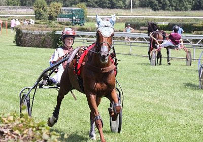 IMG 8397 600x400.jpg