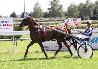 IMG 8401 600x400.jpg