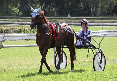 IMG 8406 600x400.jpg