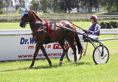 IMG 8407 600x400.jpg