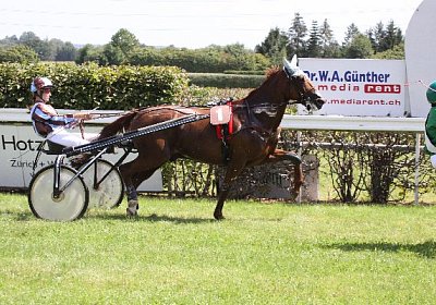 IMG 8409 600x400.jpg