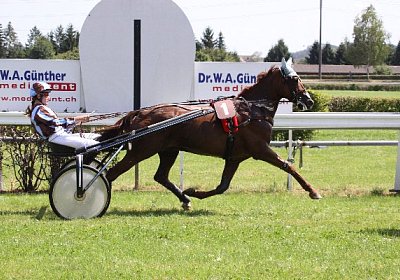 IMG 8411 600x400.jpg