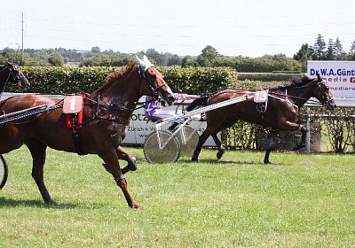 IMG 8425 600x400.jpg