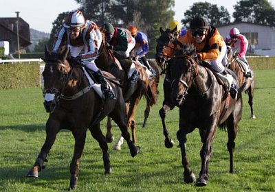 rip a Aiakos Friberg 2