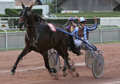 Quicksom Koller C 4 [800x600]