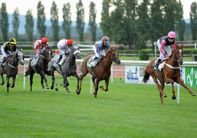 uw 05 01 bergonzi cherifos etc...