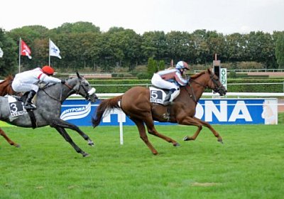 uw 05 04 cherifos etc [800x600...