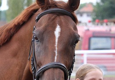 IMG 0003 600x400