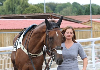 IMG 0019 600x400