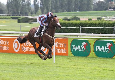 IMG 0051 600x400
