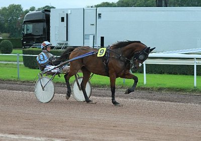 Prince IMG 4851 600x400