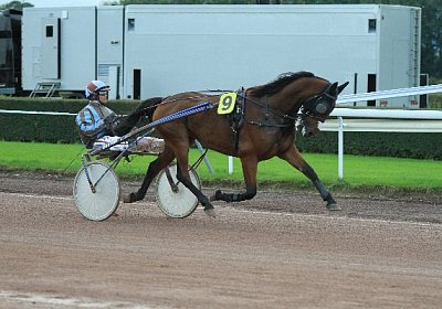 Prince IMG 4852 600x400