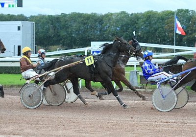 Prince IMG 4863 600x400