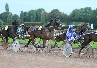 Prince IMG 4868 600x400