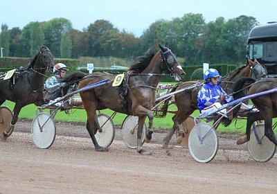 Prince IMG 4869 600x400