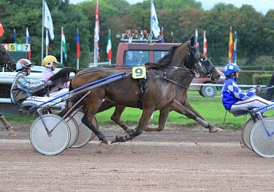 Prince IMG 4870 600x400