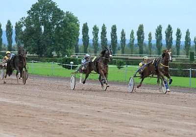 Prince IMG 4879 600x400